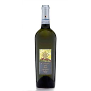 Bottiglia Falanghina Sannio DOC